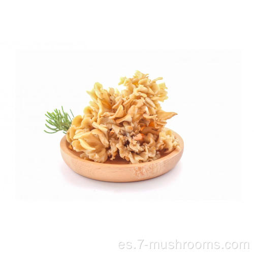 Seta de maitake de corte fresco congelado